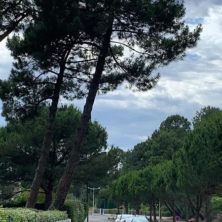 Pereire Idealement Situe Apartamento Arcachon